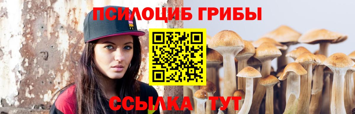 Буйнакск  Псилоцибиновые грибы MAGIC MUSHROOMS  Псилоцибиновые грибы мицелий  Вход с VPN 